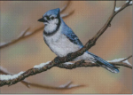 (image for) Waiting For Spring - MB